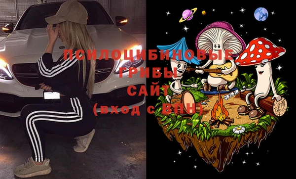 соль ск Верхний Тагил
