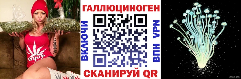 Псилоцибиновые грибы Cubensis  Бийск 